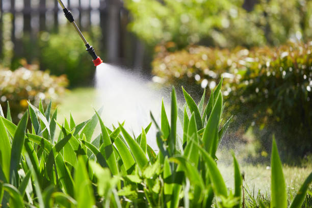 24/7 Emergency Wasp Removal experts in East Brewton, AL
