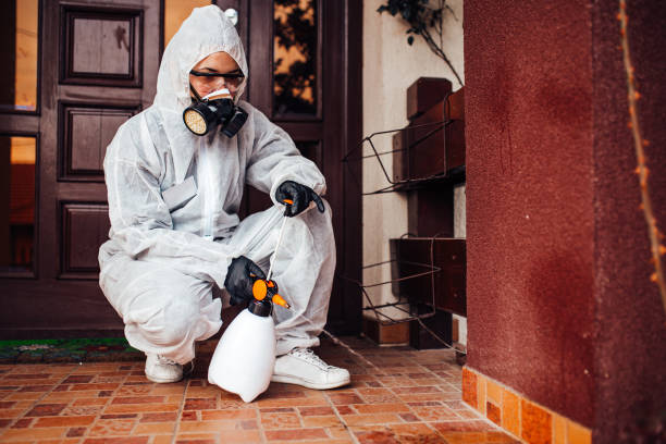 Reliable Wasp Removal contractor in East Brewton, AL by Show Me Pest Control