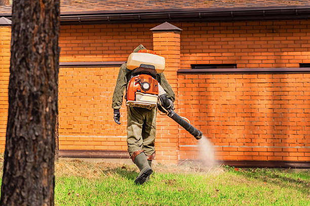 Top rated local Wasp Removal specialists in East Brewton, AL
